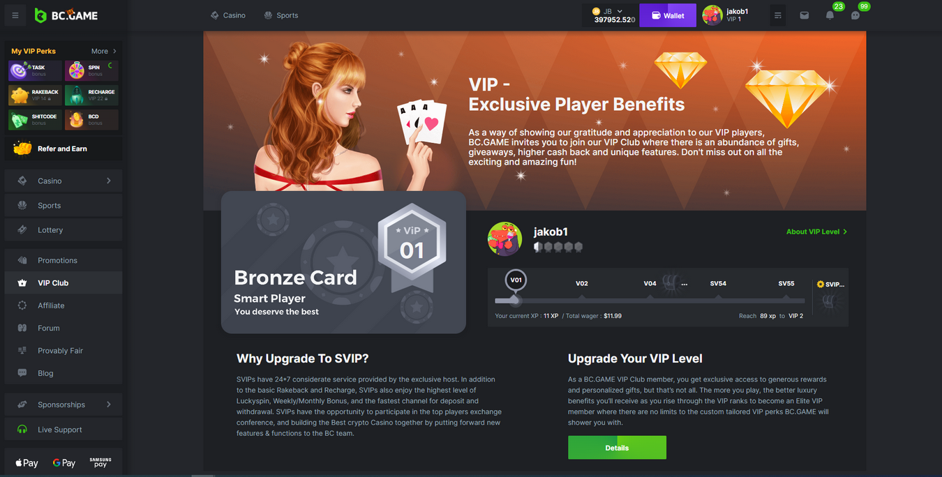 BC.Game Download And Install and Installment Guide for Android