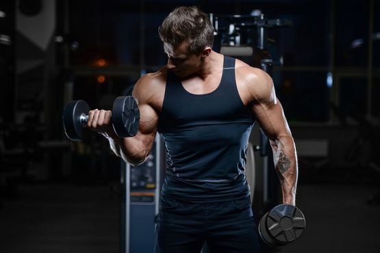 Steroids: Understanding the Basics and Their Impact Steroids: Understanding the Basics and Their Impact